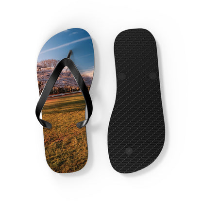 DC Cherry Blossom Flip Flops
