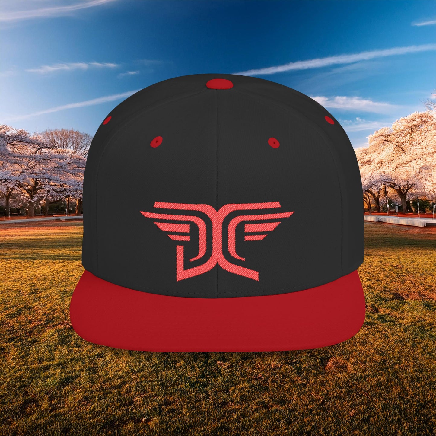 Winged DC Flat Bill Snapback