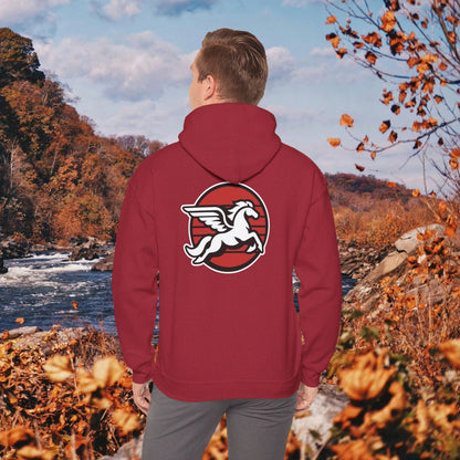 Loudoun Pegasus Hoodie