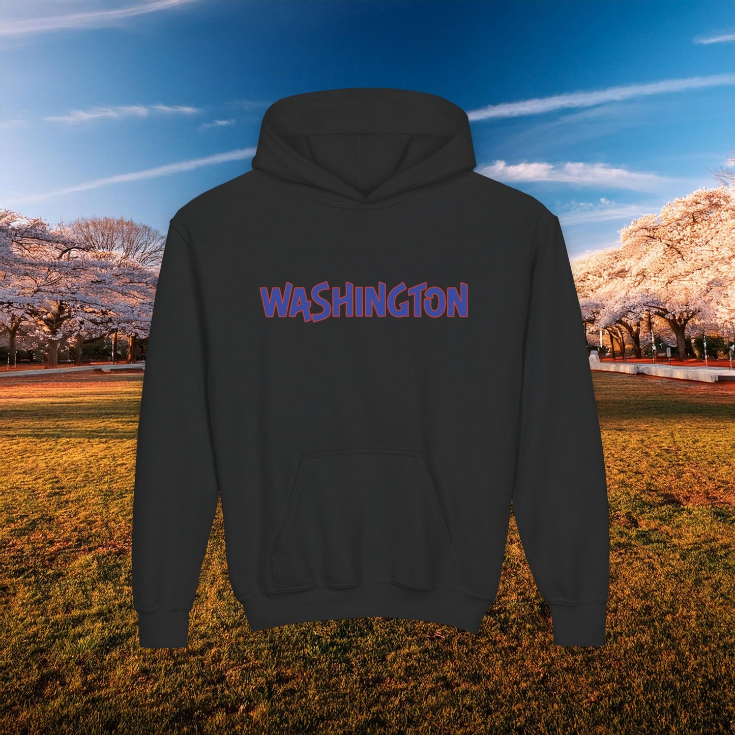 Washington Spirit Eagle Design Youth Hoodie