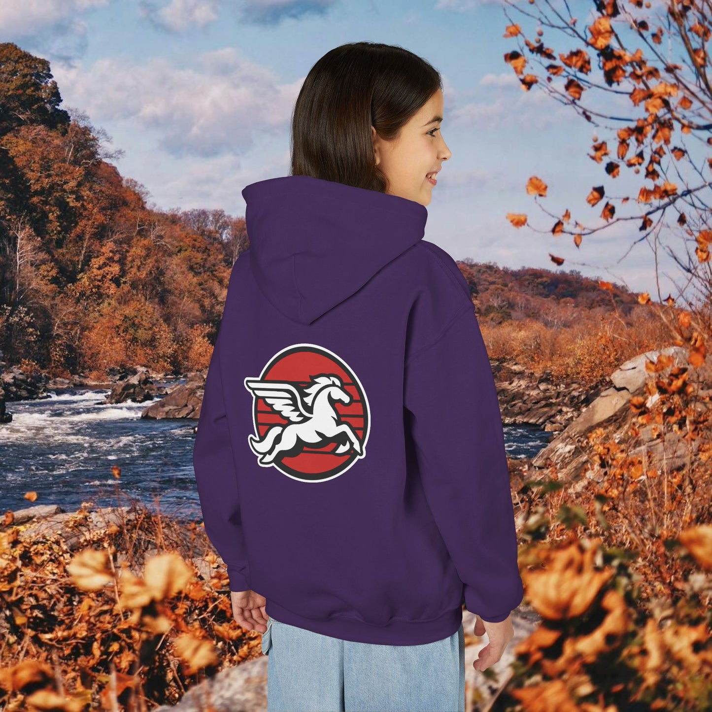 Loudoun Pegasus Youth Hoodie