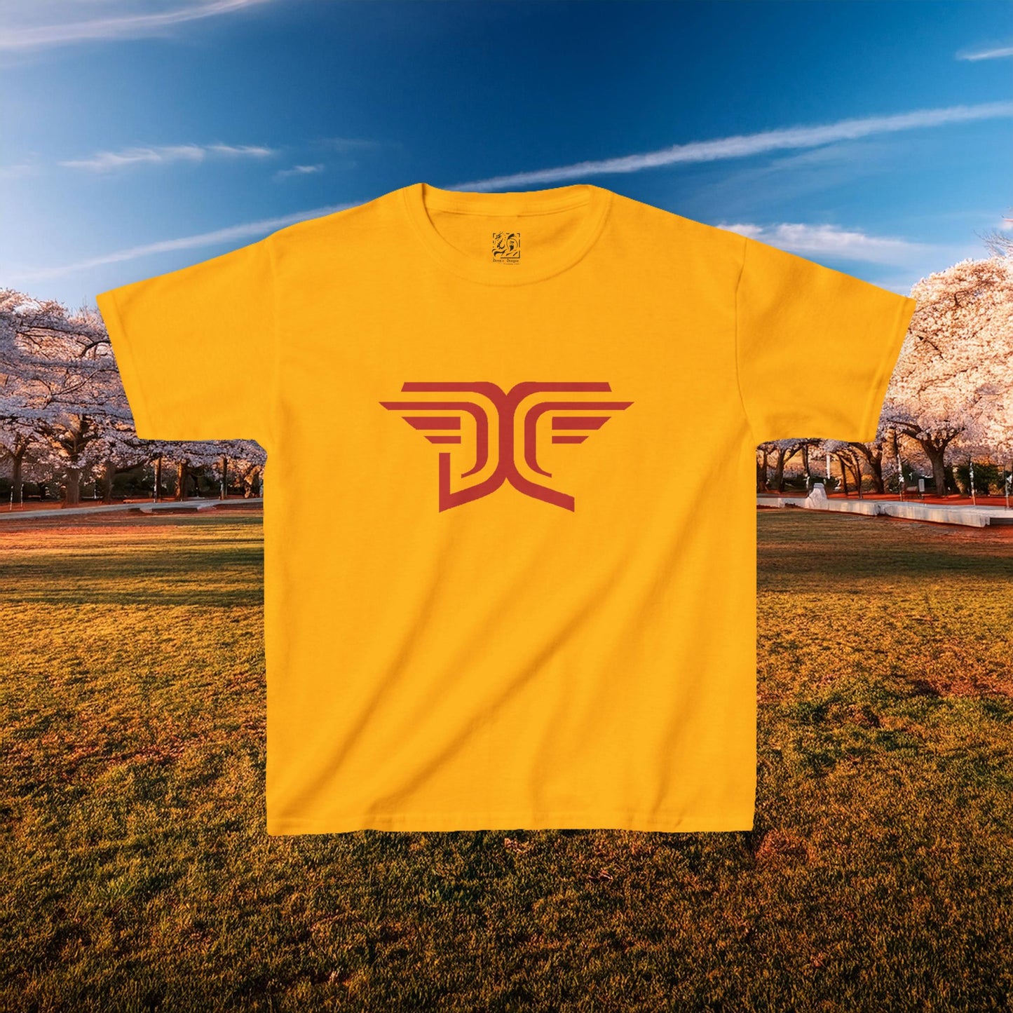 Winged DC Kids Tee
