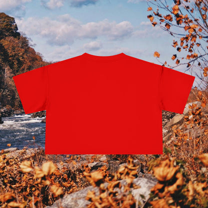 Loudoun Pegasus Crop Tee